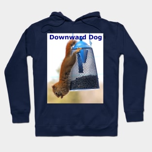 Downward Dog Hoodie